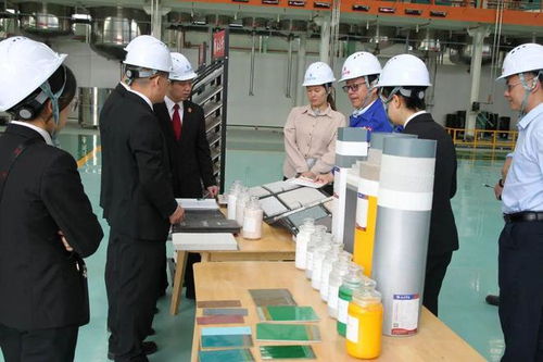 立足知識產權保護，協同企業創新發展——江州區法院舉辦新材料技術研發領域知識產權保護宣講座談會