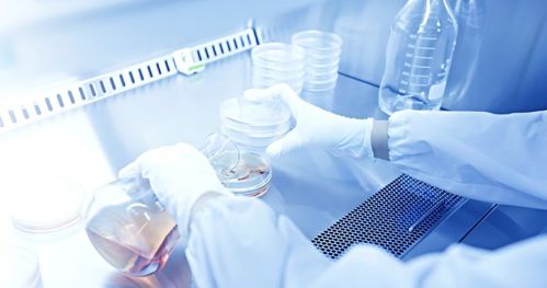 吉雷新材料 以“材”賦能，勇做新材料技術研發領域的創新者